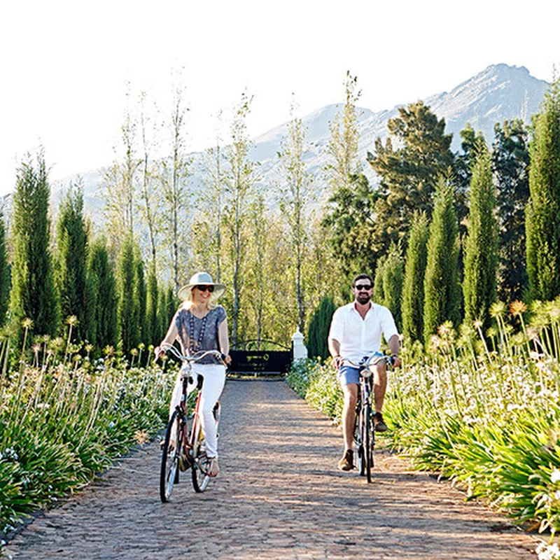 Cape Winelands 3