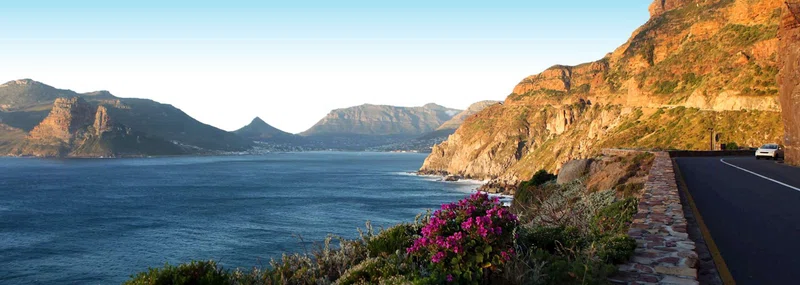 Cape Peninsula 5