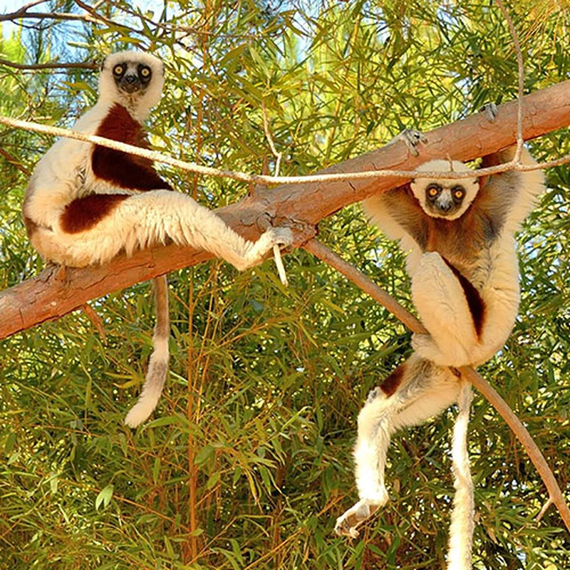 Antananarivo 3