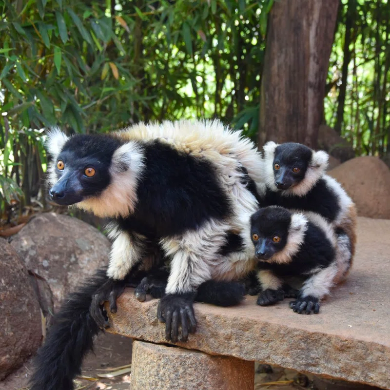 Antananarivo 4