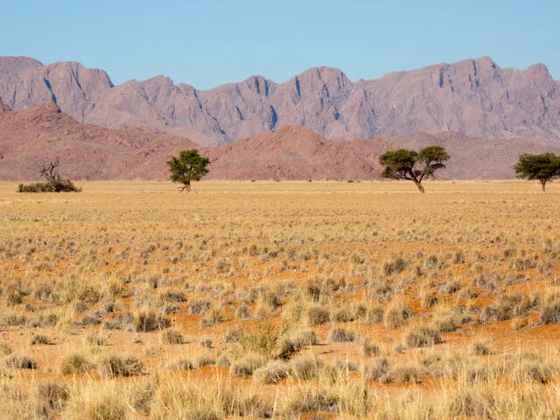 Namib Desert
