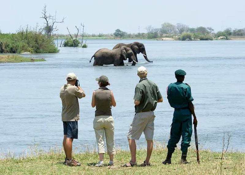 Majete Wildlife Reserve 4