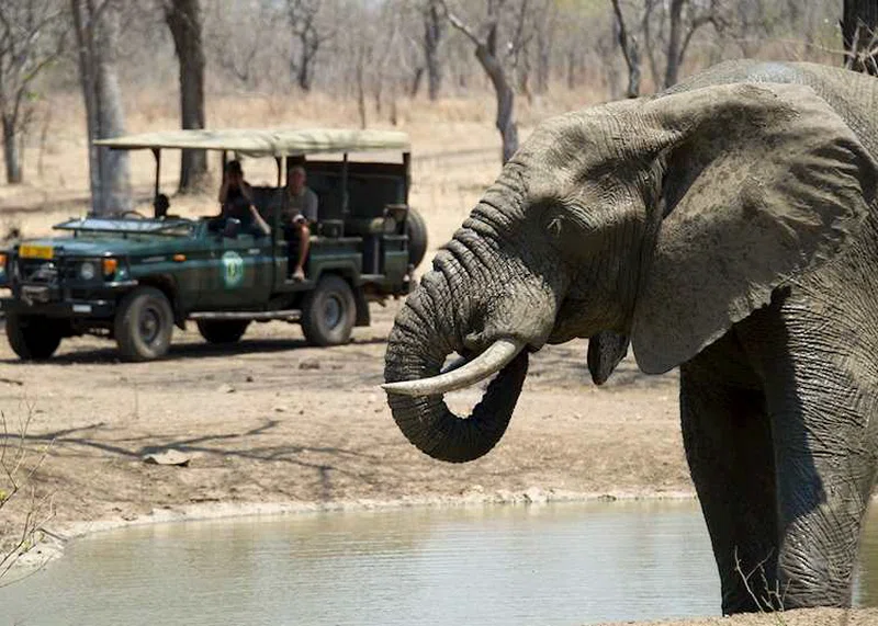 Majete Wildlife Reserve 3