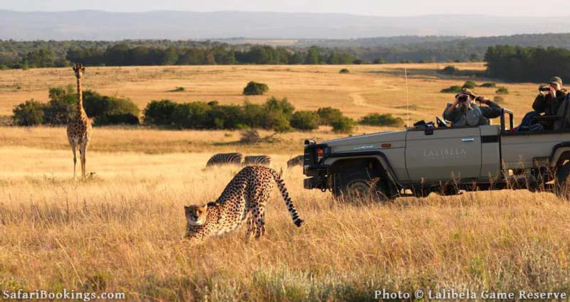 Elephant Sands Game Reserve 2
