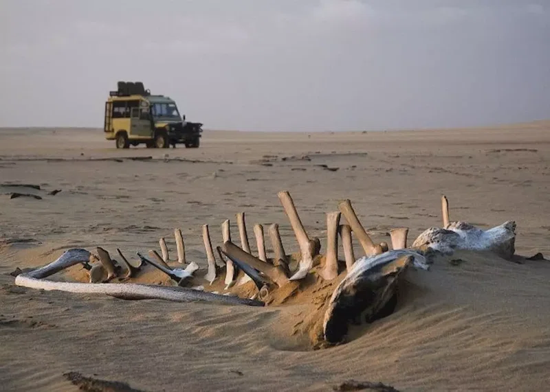Skeleton Coast National Park 2