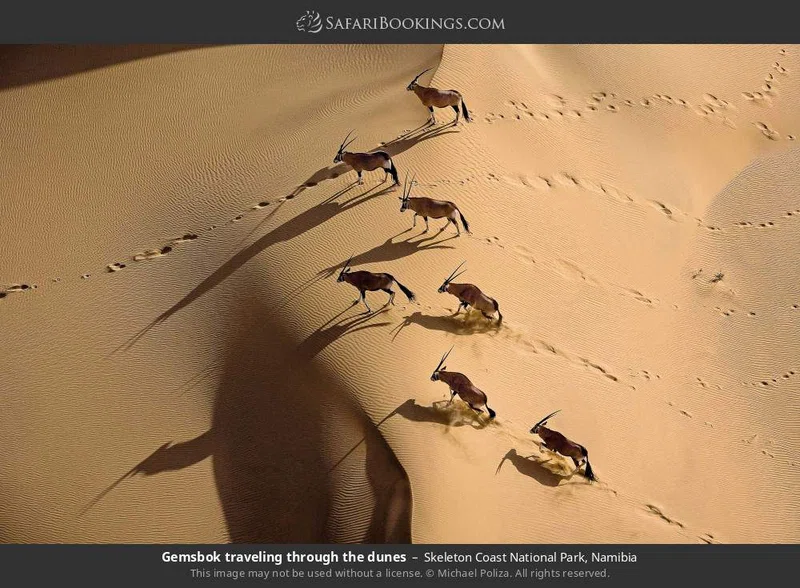 Skeleton Coast National Park 3