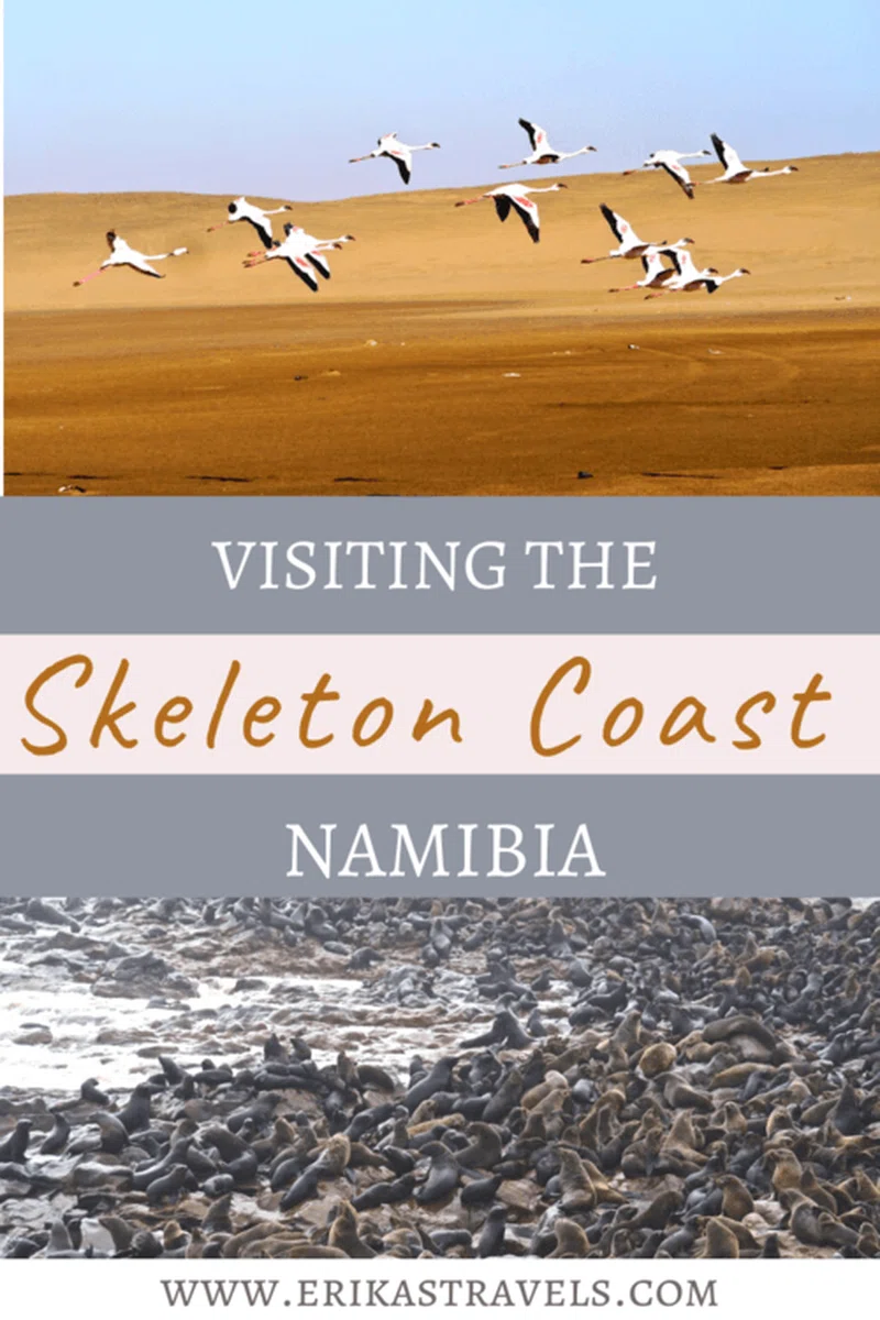 Skeleton Coast National Park 4