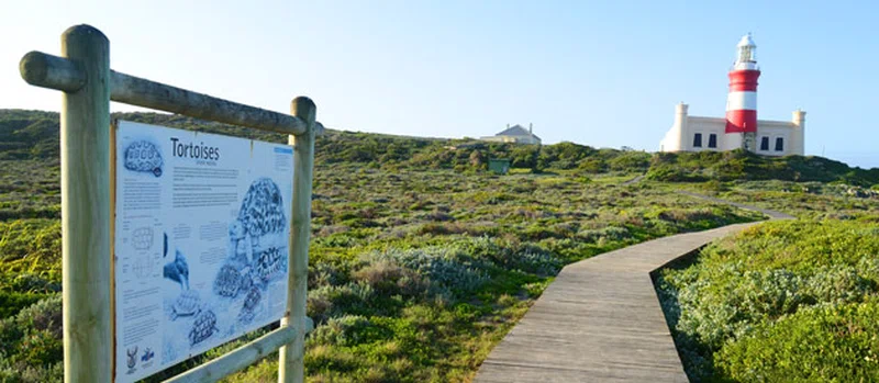 Cape Agulhas 3