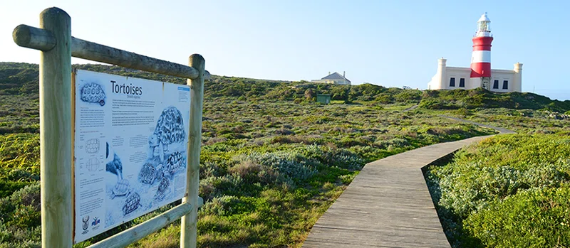 Cape Agulhas 4
