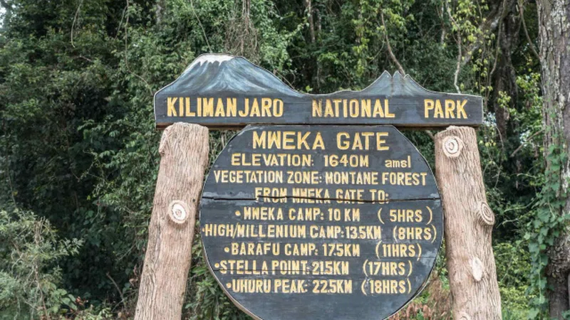 Mweka Gate 5