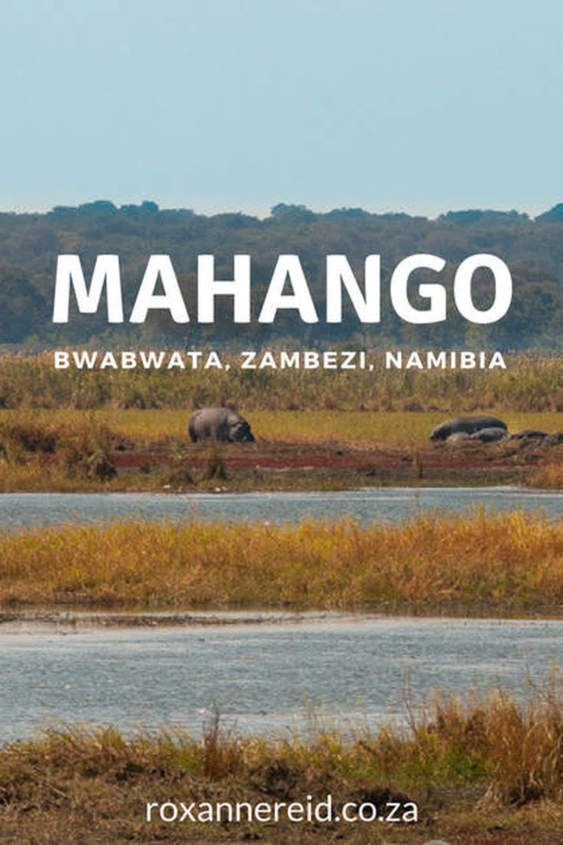 Mahango Game Reserve 4