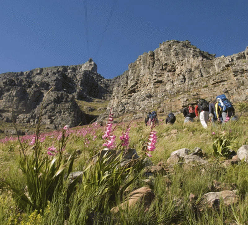 Mount Mulanje