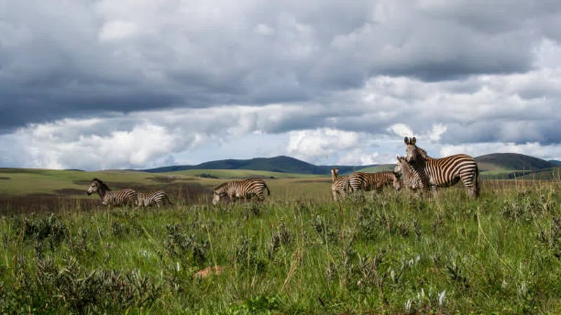 Nyika National Park 2
