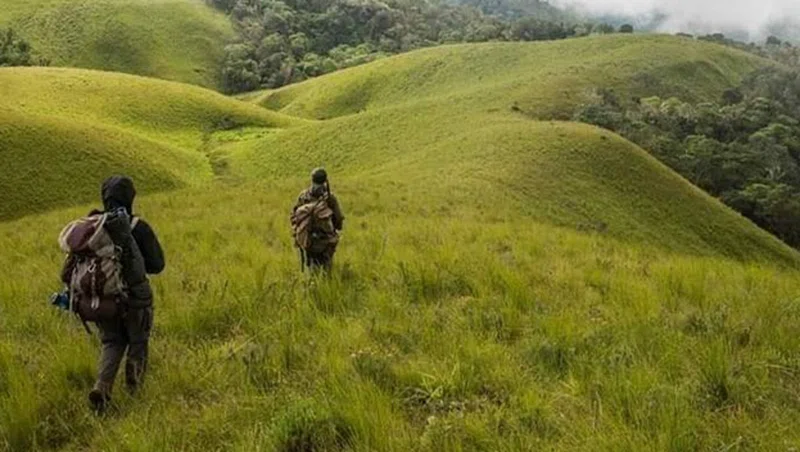 Nyika National Park 3