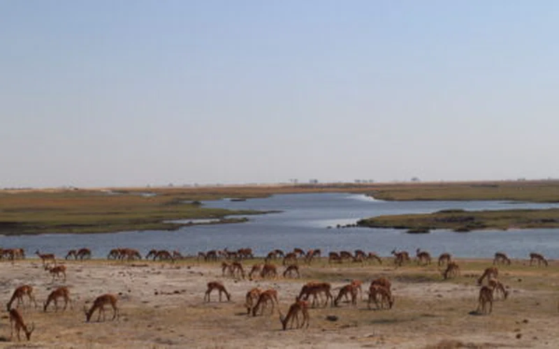 Kubu Island 5
