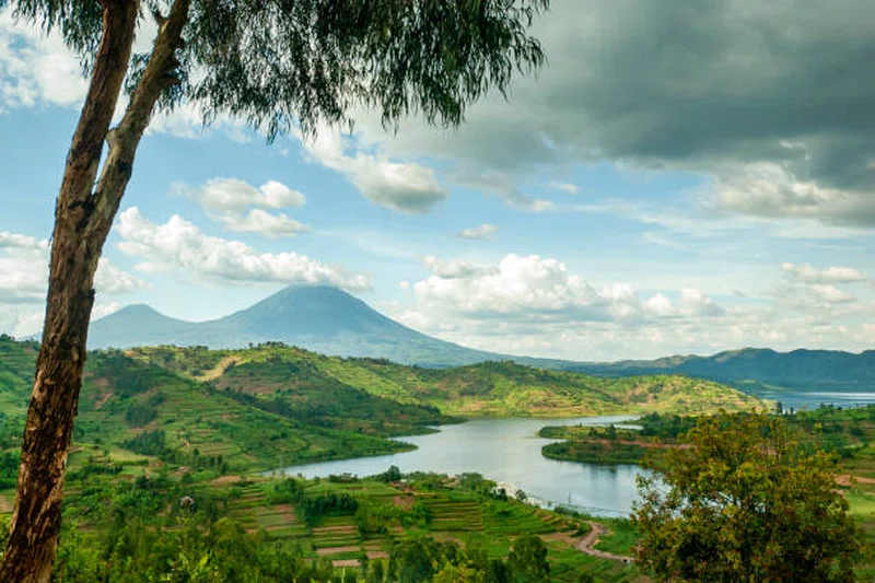 Virunga Mountains 4