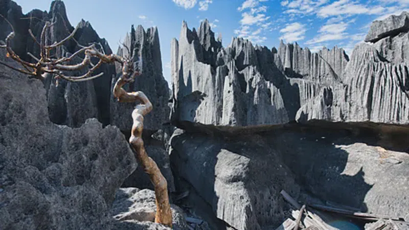 Tsingy De Bemaraha National Park 4