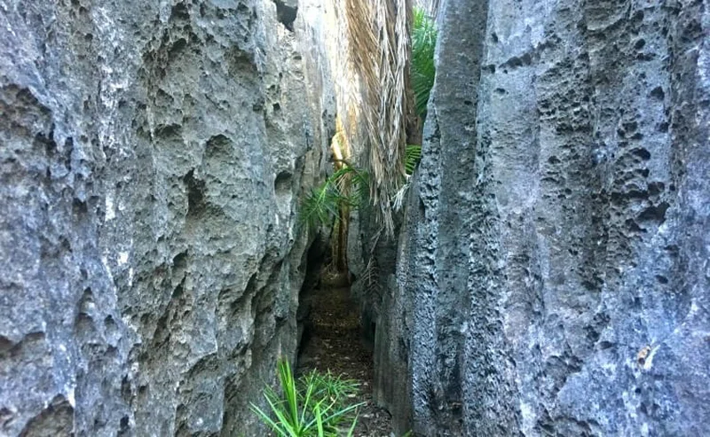 Tsingy De Bemaraha National Park 2
