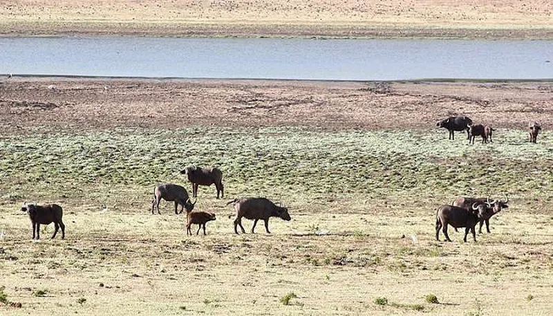 Marsabit National Park 2
