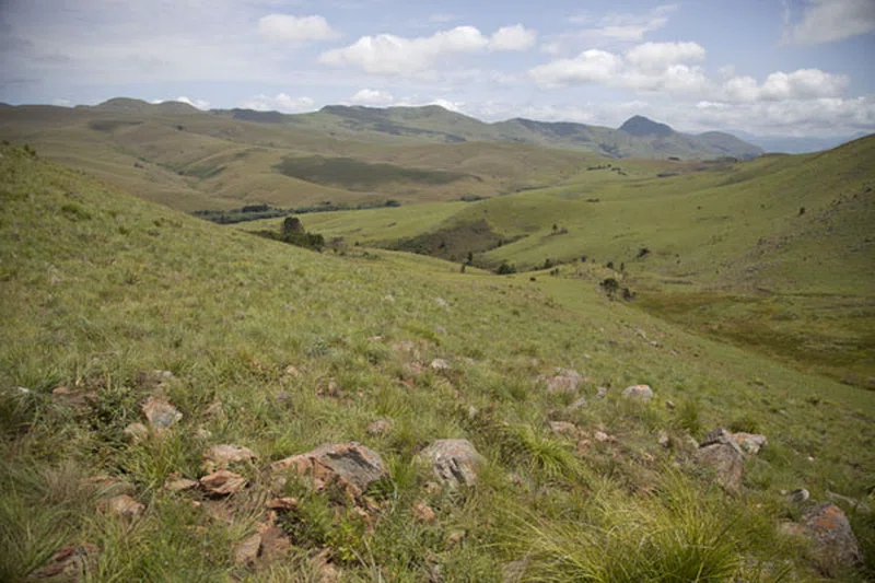 Malolotja Nature Reserve 5
