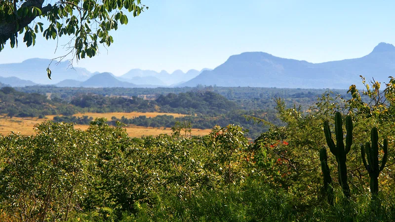 Eastern Highlands
