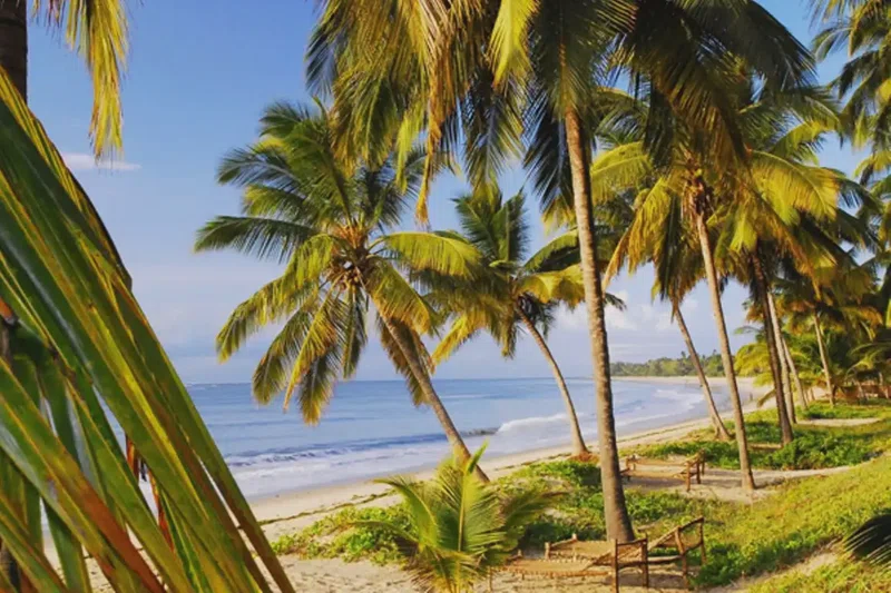 Songo Songo Islands 3