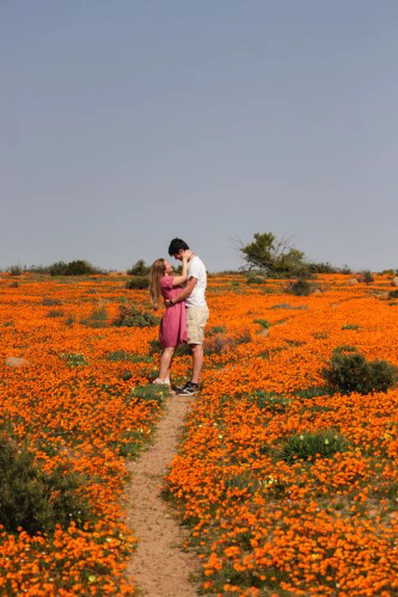 Namaqualand 4