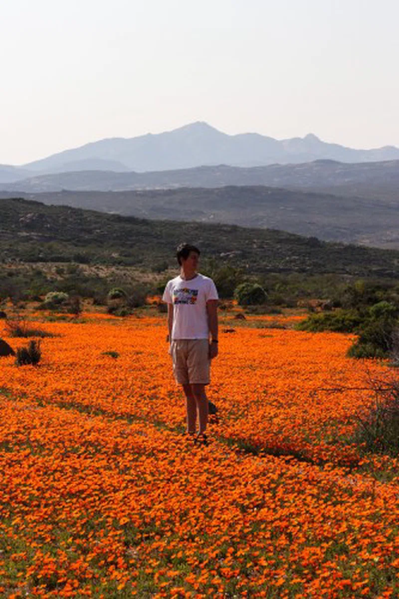 Namaqualand