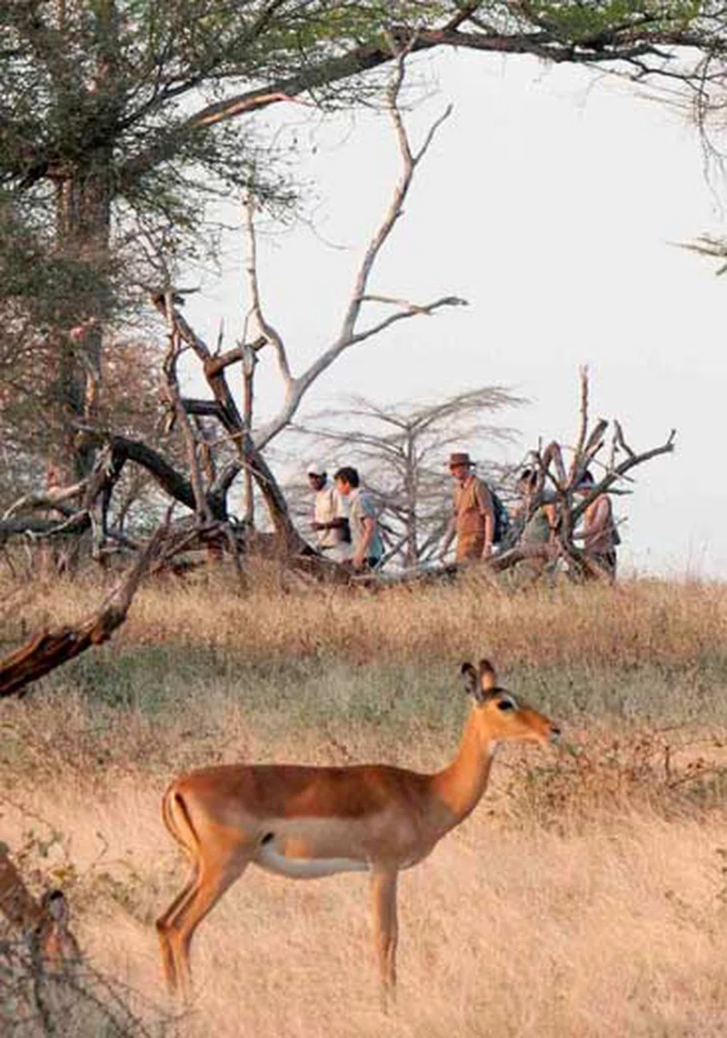 Kilwa Masoko 3