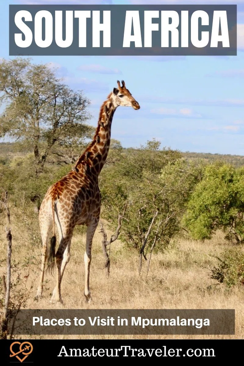 Mpumalanga Province 4