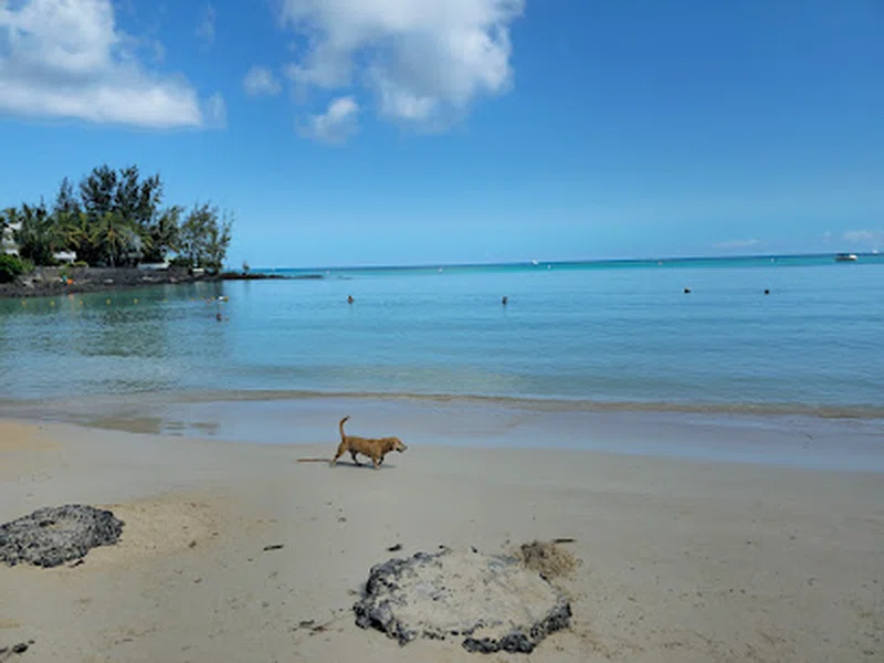 Pereybere Beach 3