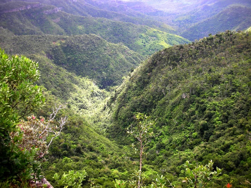 Tamarin Bay
