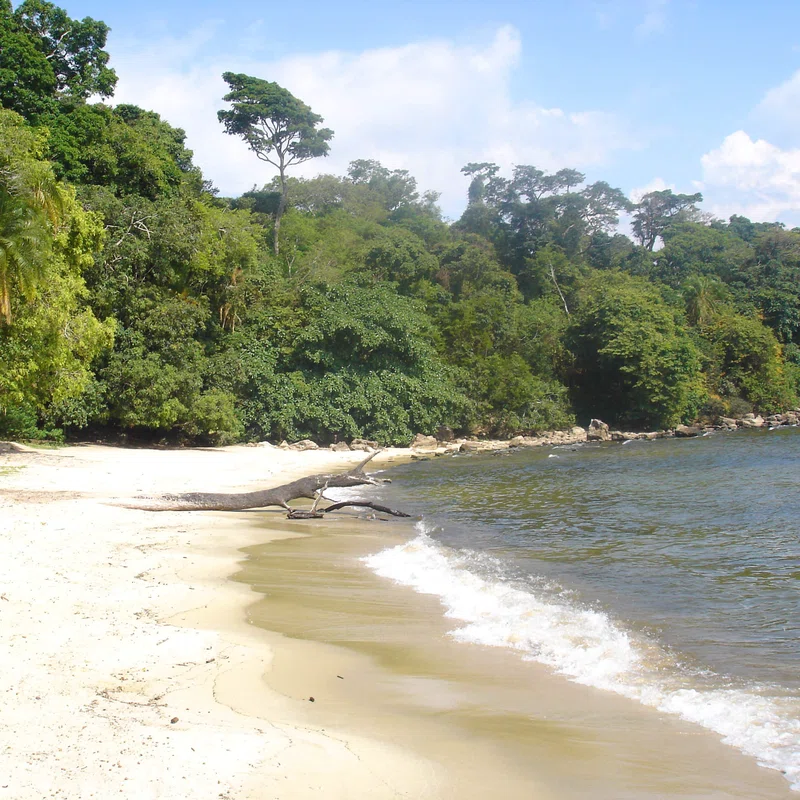 Pemba Island