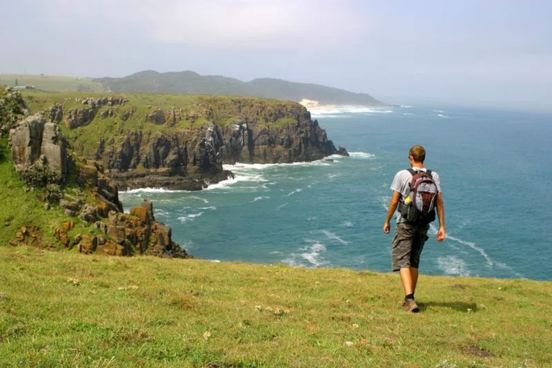 The Wild Coast