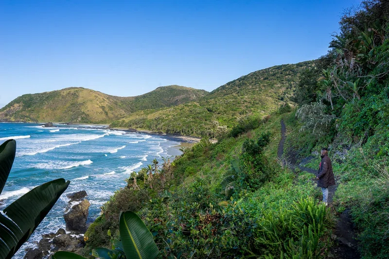 The Wild Coast 4