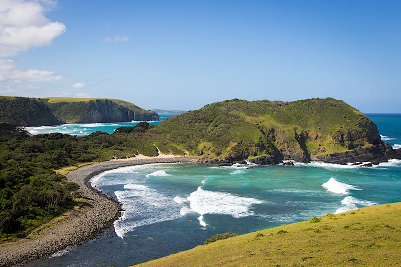The Wild Coast 3