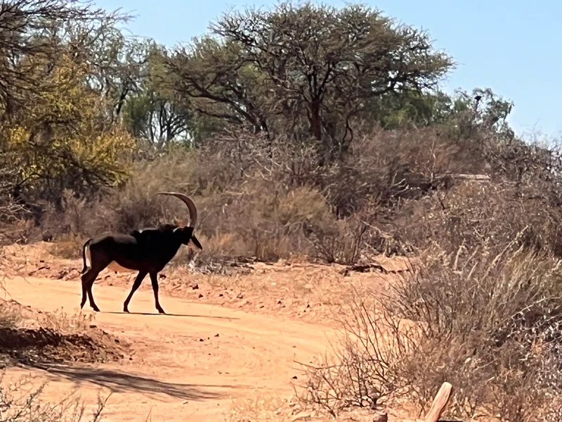 Auas Game Reserve 2