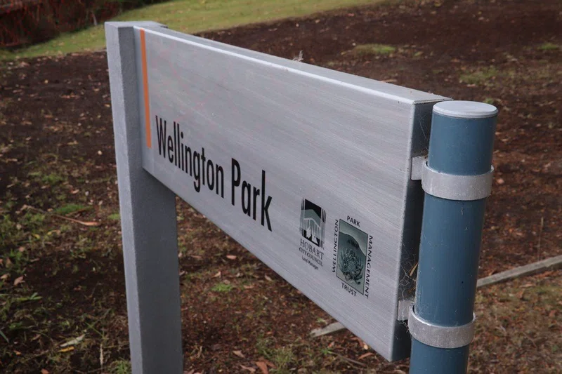 Wellington 3