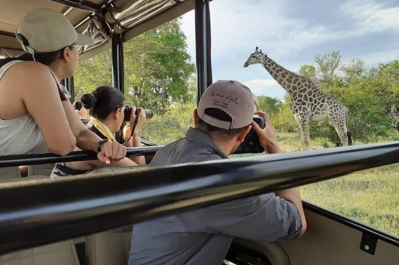Sabie 4