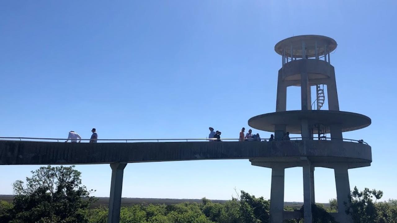 Shark Observatory Clifftop