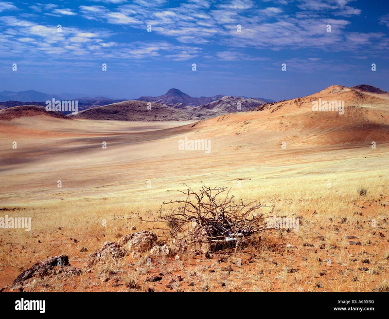 Hartmann's Valley