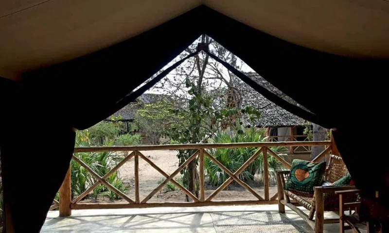 Mloka 3