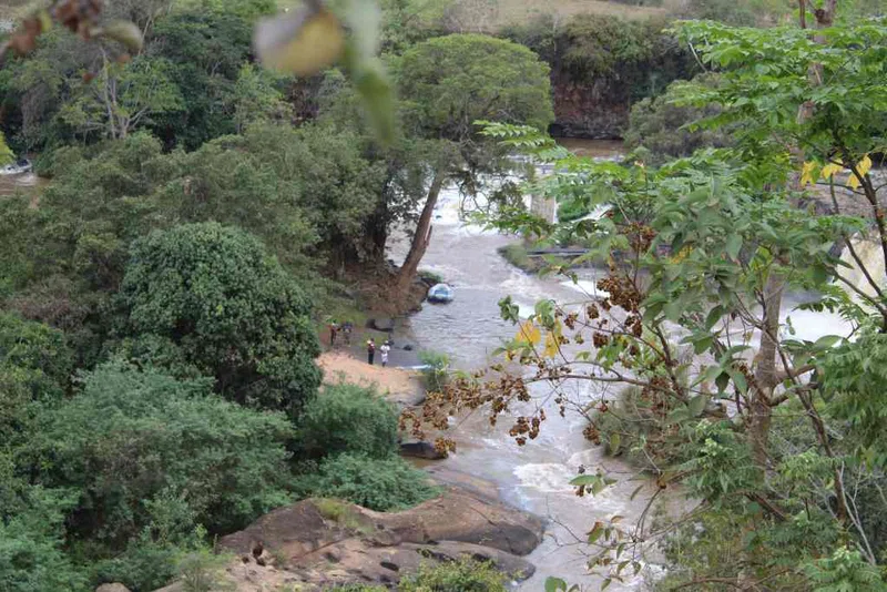 Sagana 5