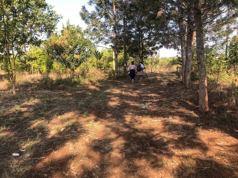 Sagana 4