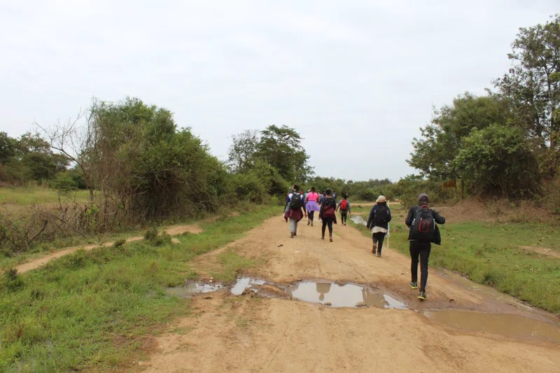 Sagana 2