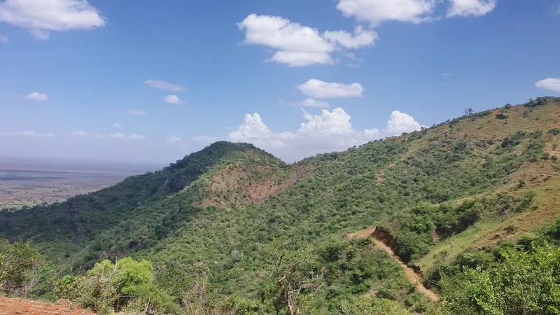 Southern Pare Mountains 2