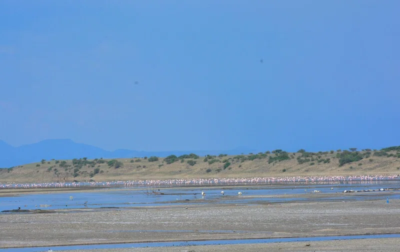 Lake Magadi 3