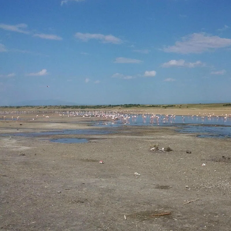 Lake Magadi 2