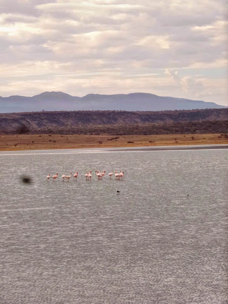 Lake Magadi 4