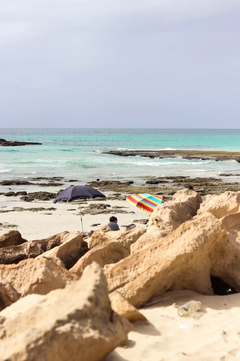 Arniston 5